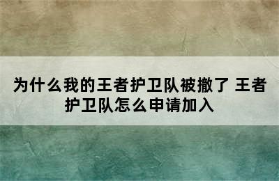 为什么我的王者护卫队被撤了 王者护卫队怎么申请加入